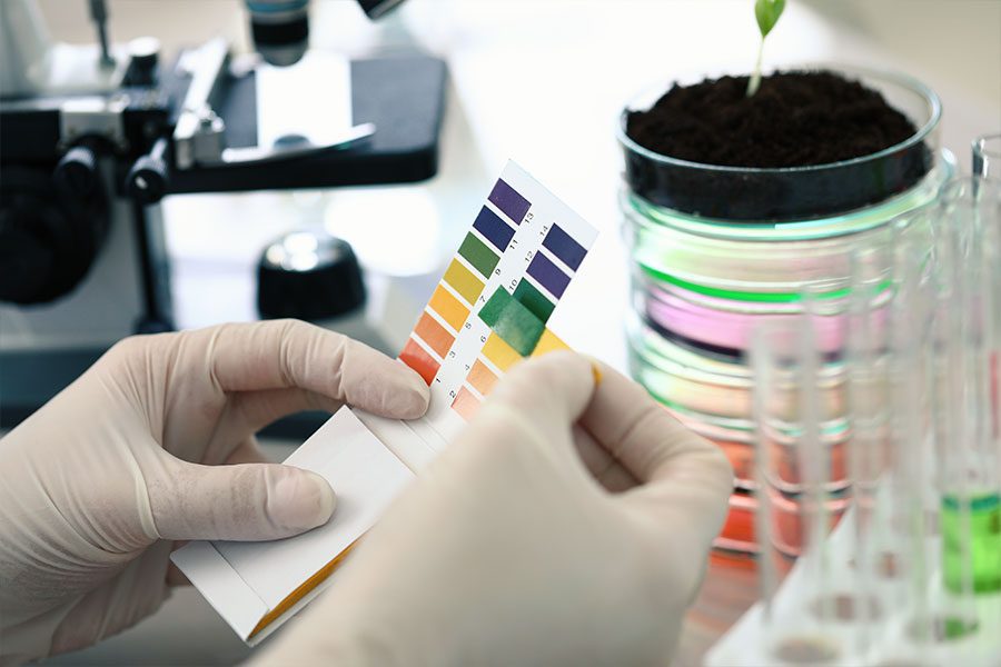 Seventy per cent of LPP clothes manufactured in Bangladesh and Pakistan conform to sustainable chemical safety standards