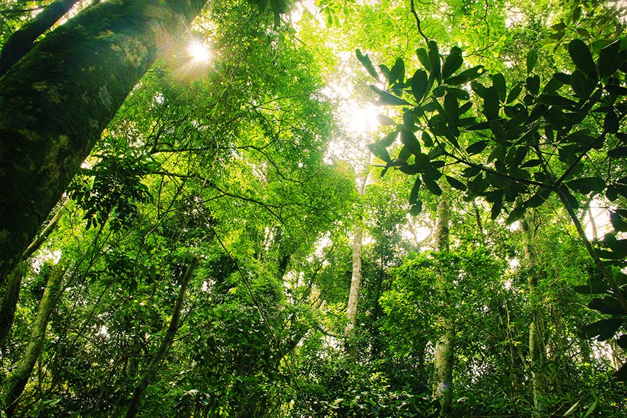 LPP to develop decarbonisation strategy according to SBTi scientific method
