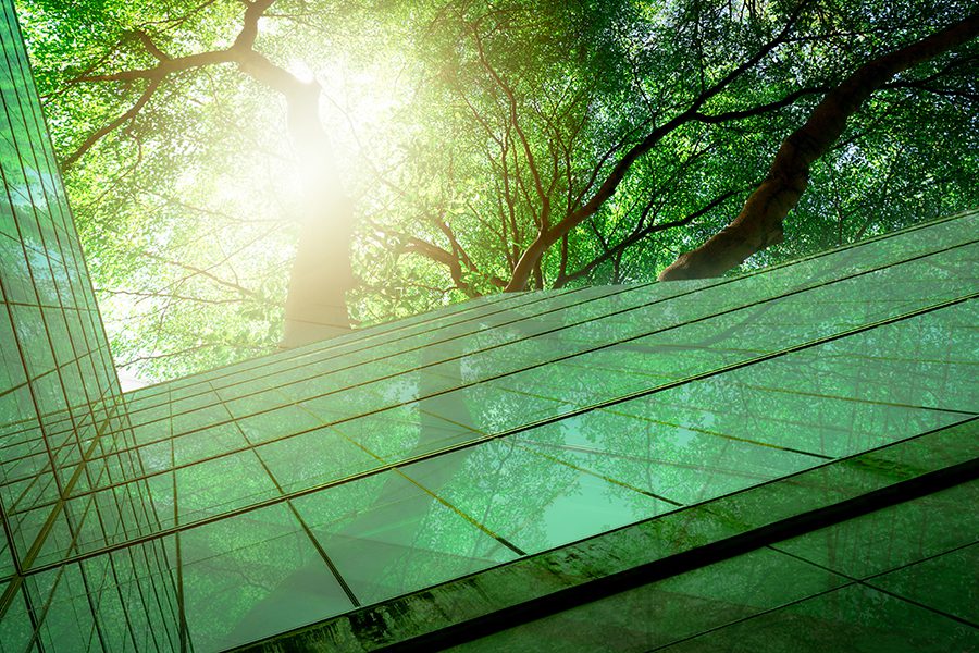 LPP with decarbonisation plan approved by SBTi